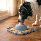 Self-Soothing Mental Stimulation For Anxious Dogs