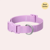 Premium Waterproof Silicone Dog Collar Adjustable & Durable Pet Collar