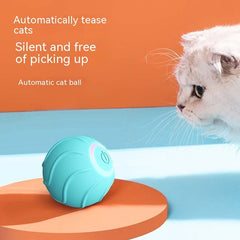 Interactive Motion Activated Rolling Ball Dog Toy