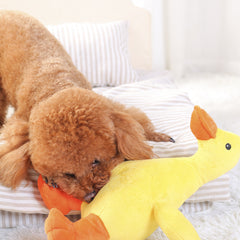 Quack-Quack Duck Dog Toy